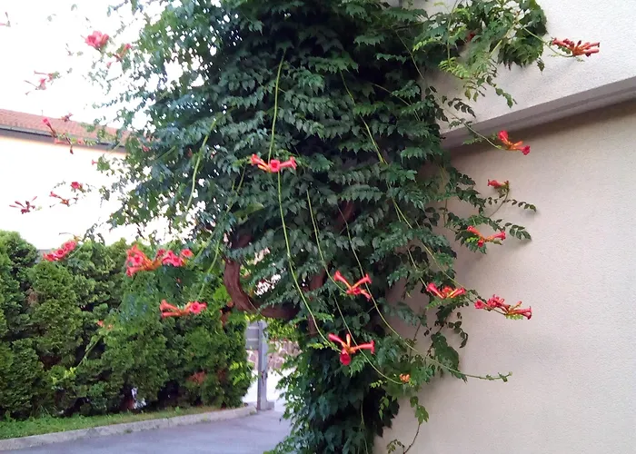 Pensión Bbq Liubliana