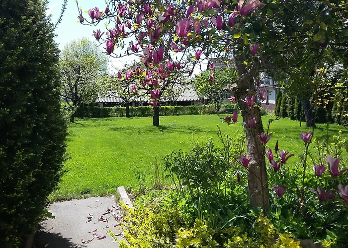 Bbq Гостевой дом